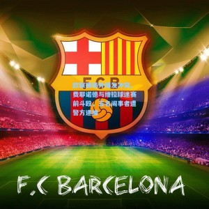 500福彩服务_欧联赛场外爆发冲突，费耶诺德与维拉球迷赛前斗殴，五名闹事者遭警方逮捕